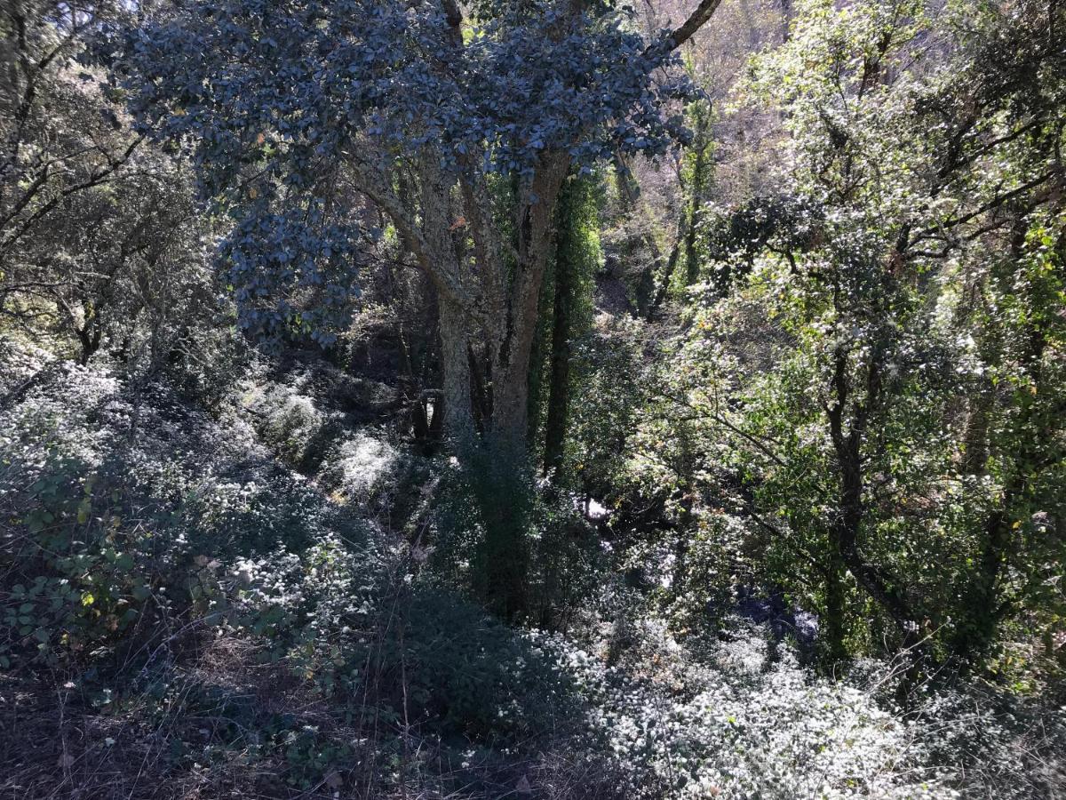 La Apanaora Βίλα Galaroza Εξωτερικό φωτογραφία